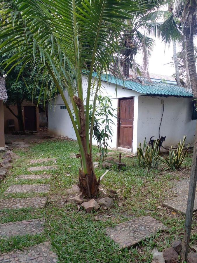 The Plantation Hostel กำปอต ภายนอก รูปภาพ